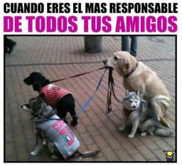 a6bfee6c704b7af444d0326bffe52ac5.jpg
