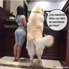 c15a9328487d86caec98cd927eee61de.jpg