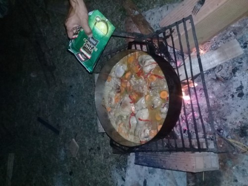 Pollo al disco
