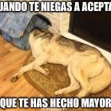 cuandoteniegasaaceptarqueeresmayor