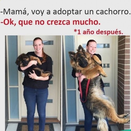 imagenes graciosas