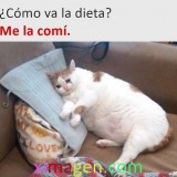 25e899ed2824bb263019310c0f71ba90