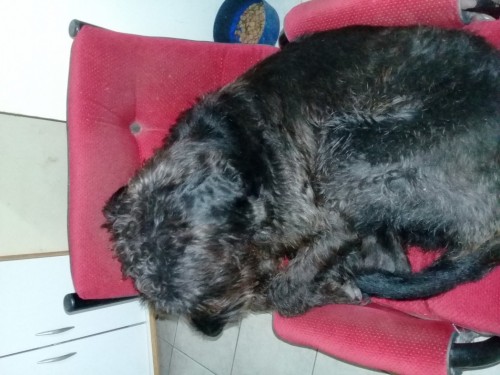 20180406_201143.jpg