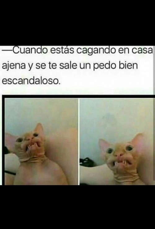 cuando-estas-cagando-en-casa-ajena-y-se-te-escapa-un-pedo.jpg