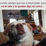 cuando-sientes-que-vas-a-estornudar-pero-no-te-sale-y-te-quedas-algo-asi-como
