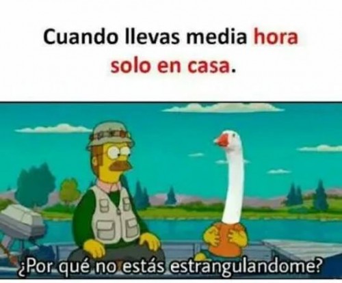 por-que-no-me-estas-estrangulando.jpg