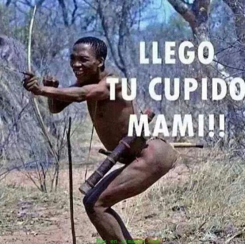 ximagen.com