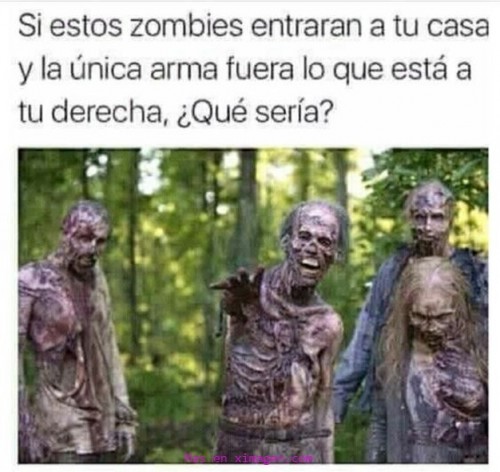 SI-ESTOS-ZOMBIES-ENTRARAN-A-TU-CASA.jpg
