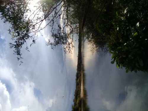 perucho-vernaz.jpg