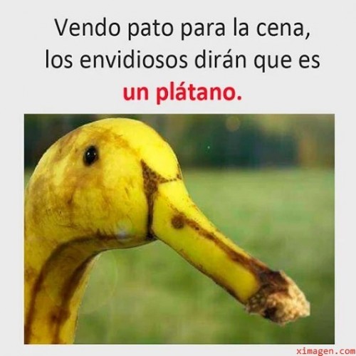 IMAGENES-CON-FRASES.jpg