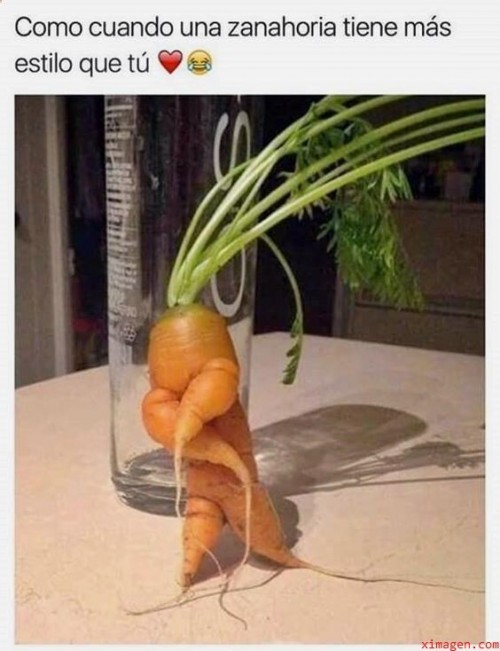 Como-cuando-una-zanahoria-tiene-mas-estilo-que-tu-XD.jpg
