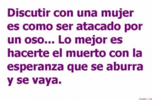 discutir-con-una-mujer-es-como-ser-atacado-por-un-oso...jpg