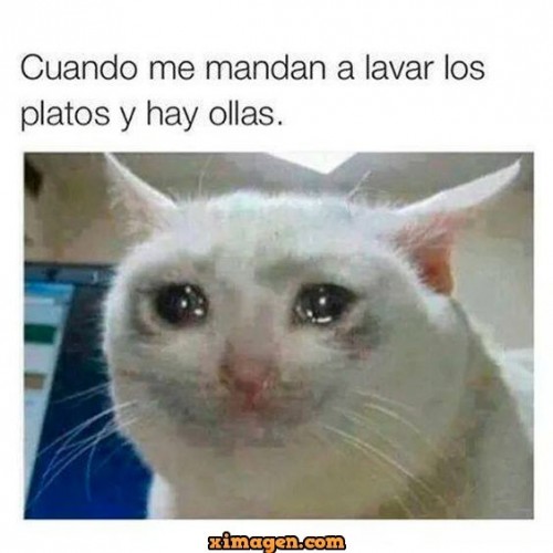 cuando-me-mandan-a-lavar-los-platos-y-hay-ollas.jpg