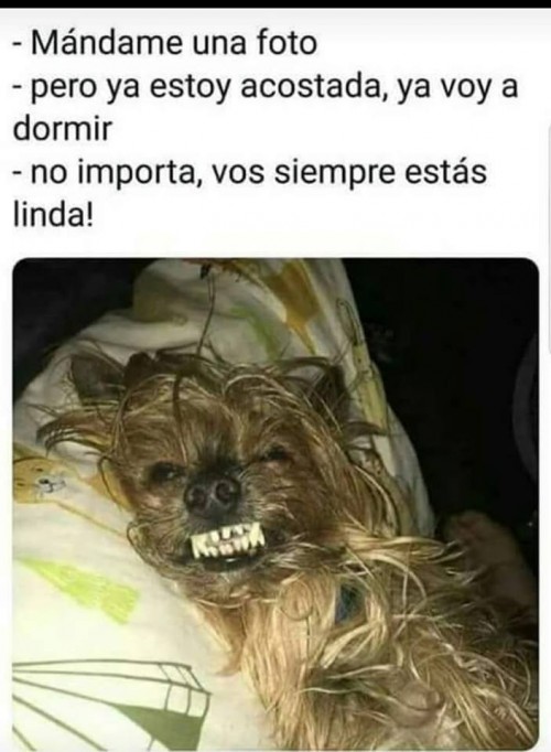 no-puedo-con-esta-imagen-jajjajaja.jpg