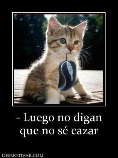 luego-no-digan-que-no-se-cazar.jpg
