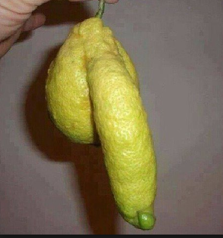limon-con-forma-de-pen.png