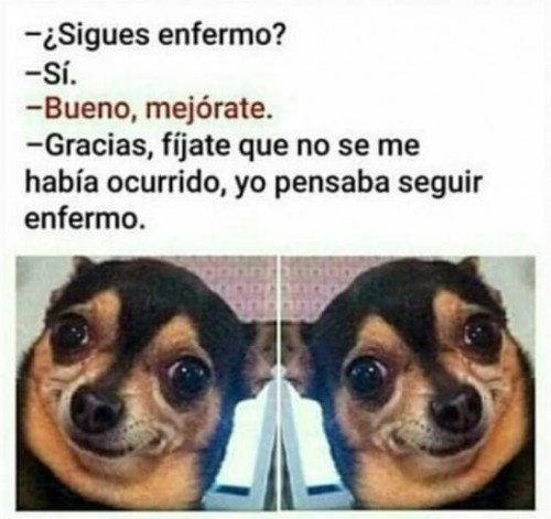 sigues-enfermo-si-bueno-mejorate.jpg