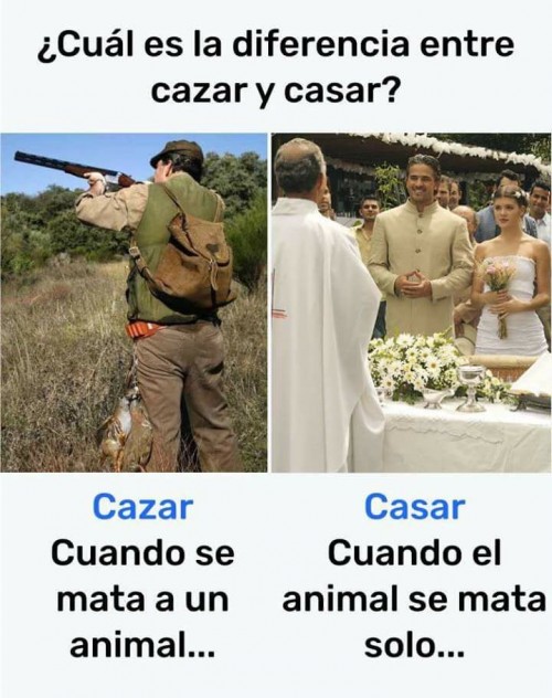 cual-es-la-diferencia-entre-cazar-y-casar.jpg