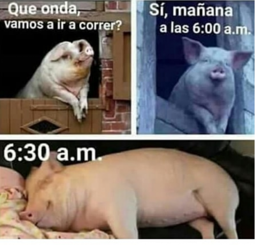 vamos-a-correr.png