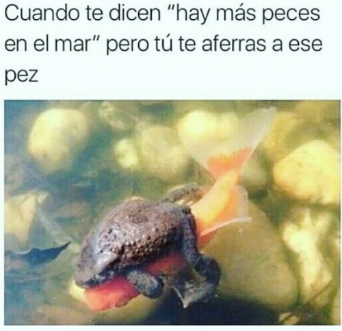 cuando-te-aferras-a-algo.png