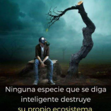frase-de-la-naturaleza
