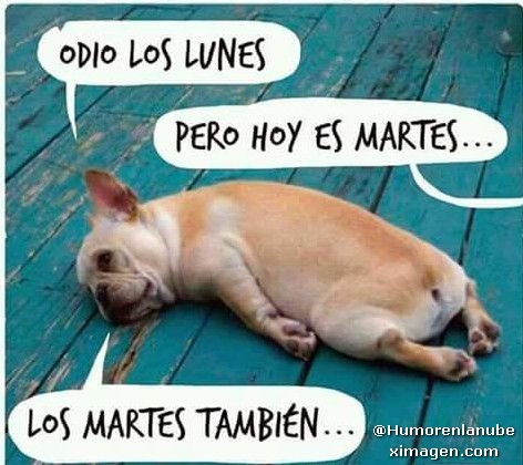 odio-los-lunes.jpg