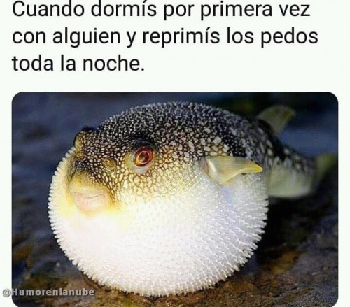 Cuando-reprimis-pedos.jpg