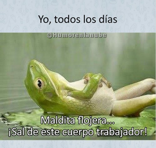 maldita-flojera.jpg