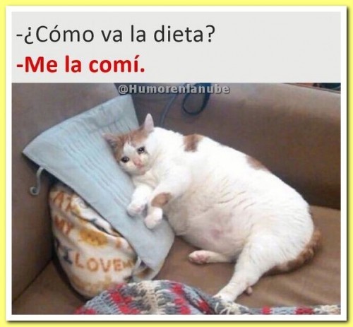 como-va-la-dieta.jpg