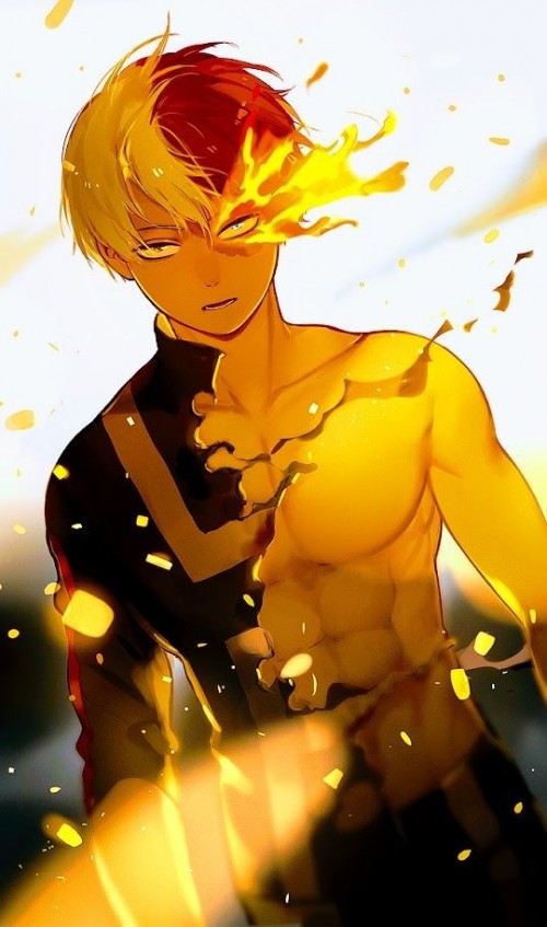 todoroki.jpg