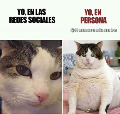 yo-en-las-redes-sociales.jpg