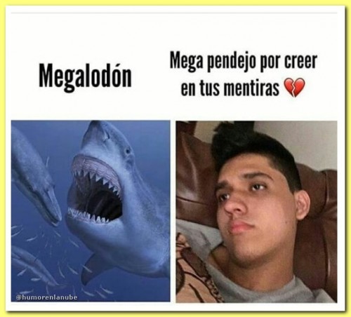 megalodon.jpg