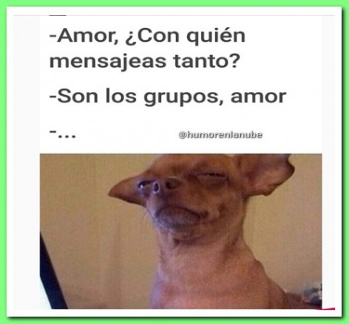 con-quien-mensajeas-tanto.jpg