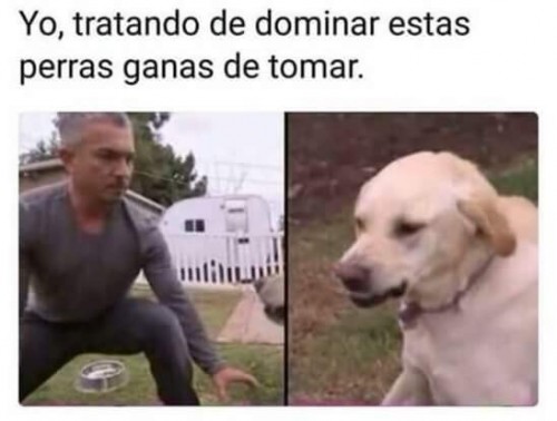 FB_IMG_1535903133044.jpg