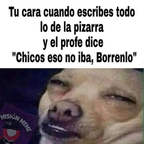 FB_IMG_1535903255815.jpg