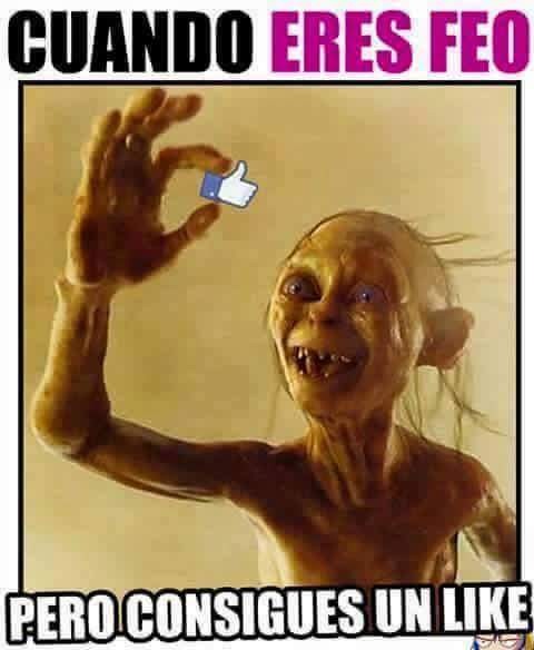 FB_IMG_1536109621556.jpg