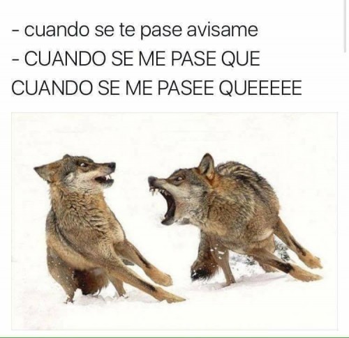 cuando-se-te-pase-hablamos.jpg