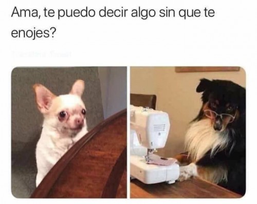 mama-te-puedo-decir-algo.jpg