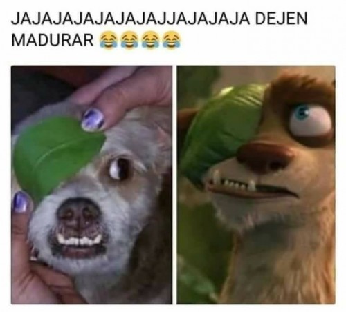 no-jodas.jpg