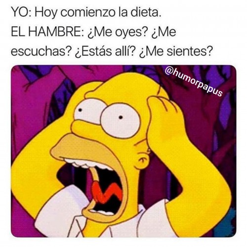 meme-hoy-comienzo-la-dieta.jpg