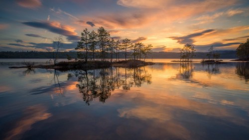 norway-trees-reflection.jpg