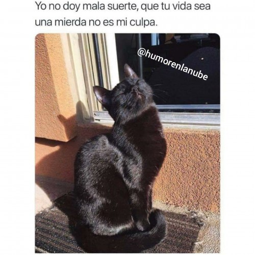 meme-yo-no-doy-mala-suerte-que-tu-vida-sea-una-mierda-no-es-mi-culpa.jpg