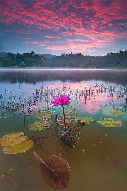 una-hermosa-imagen.jpg
