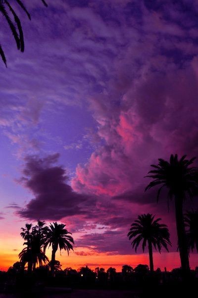atardecer-con-palmeras-y-muchos-colores.jpg