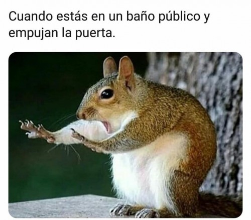 cuando-estas-en-el-bano-publico-y-empujan-la-puerta.jpg