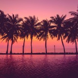 paisaje-atardecer-con-palmeras
