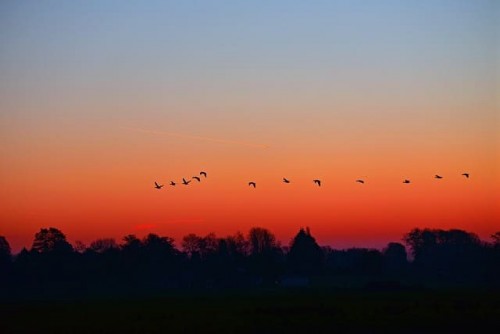 dawn-3846778_640.jpg