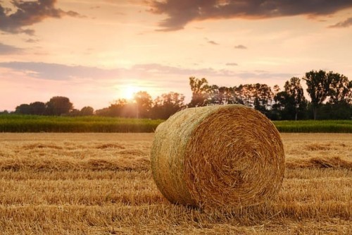 straw-bales-3521063_640.jpg
