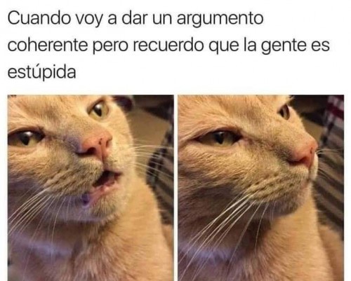 cuando-voy-a-dar-un-argumento-coherente-pero-recuerdo-que-la-gente-es-estupida.jpg