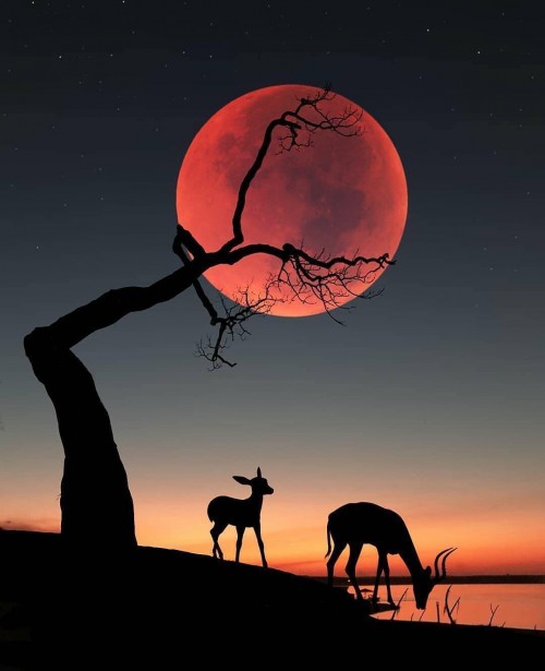 blood-moon.jpg